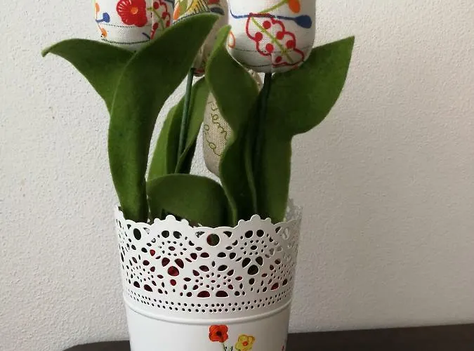 Guest house Casa Da Travessa Ponte de Lima